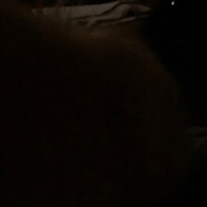 Meet your Posher, Suzanne